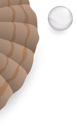 Close-up view of oyster shell and pearl. Design in gradient effect over white background.のイラスト素材