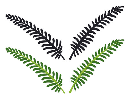 Botanical set with dark silhouettes and green version of branches isolated over white background.のイラスト素材