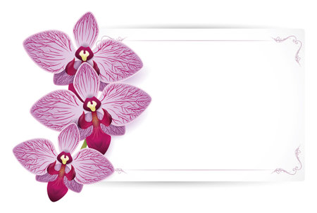 Beautiful arrangement with three purple orchids next to blank card template. Design isolated in gradient effect.のイラスト素材
