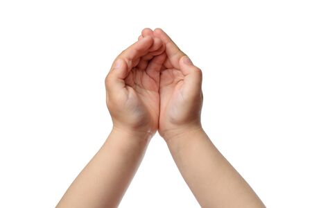  children's hands as handful. top view, isolatedの写真素材