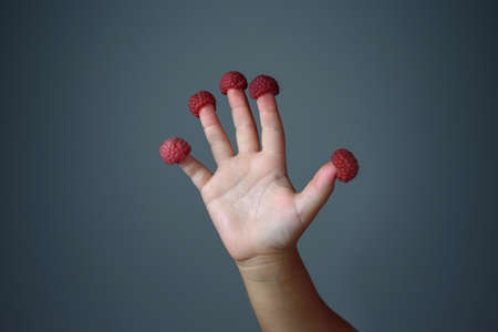 Children's hand with raspberries on the fingersの写真素材