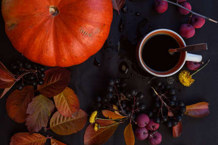 autumn still life - pumpkin, berries, yellow leaves on a dark background. Close upの写真素材