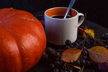 autumn still life - pumpkin, berries, yellow leaves on a dark background. Close upの写真素材