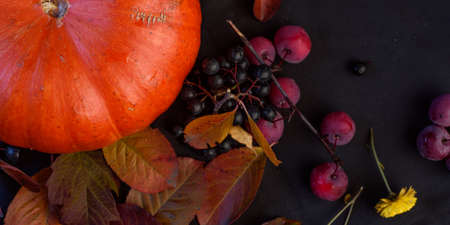autumn still life - pumpkin, berries, yellow leaves on a dark backgroundの写真素材