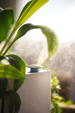 The humidifier emits steam near green plants. Humidification of the air in the room.の写真素材
