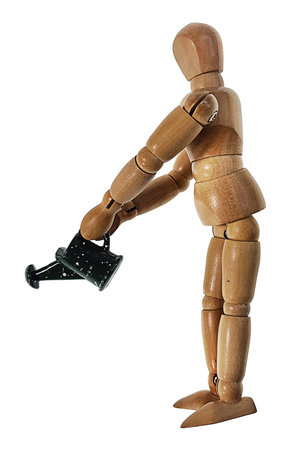 Watering can to water various plantsの写真素材