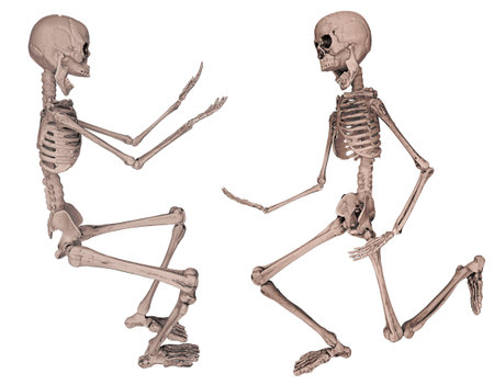 Skeletons dancing together with musicの写真素材