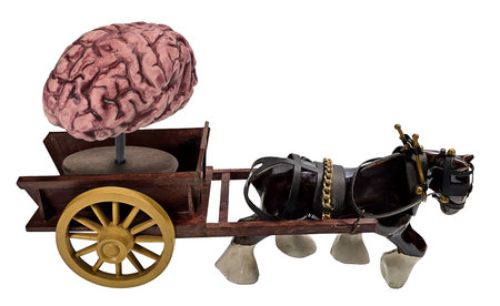 A horse is pulling a wooden cart with a brain model on it.