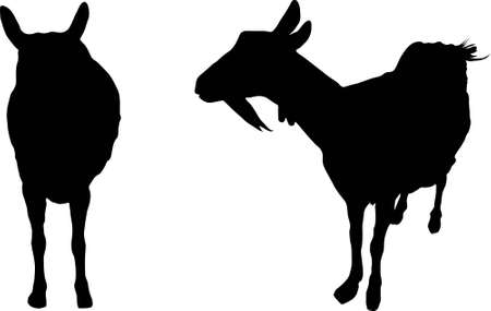 Two silhouettes of the nanny goatのイラスト素材