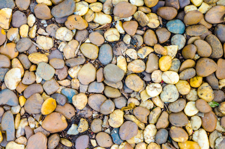decorative gravel pebble stones in gardenの写真素材