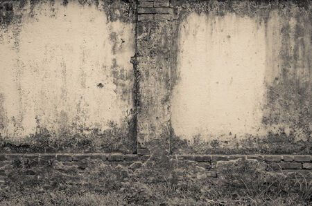 old concrete and brick wall background in the ancient city with plantの写真素材
