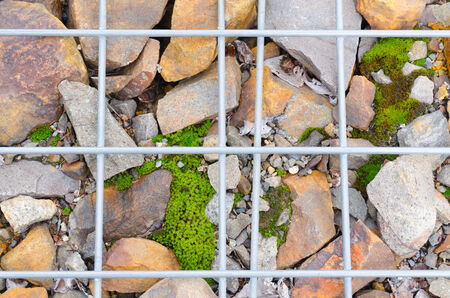 Stone and moss with grid abstract backgroundの写真素材
