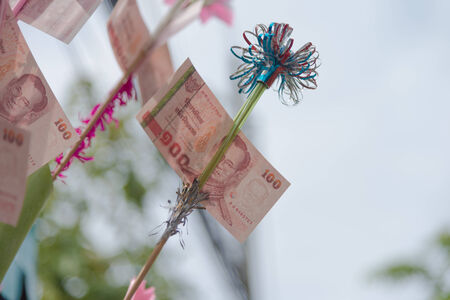Thai 100 bank note in Buddhism charity tradition closeupの写真素材
