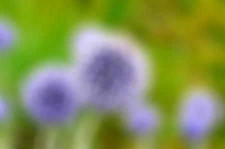 Abstract Blur  of sphere voilet and green in garden backgroundの写真素材
