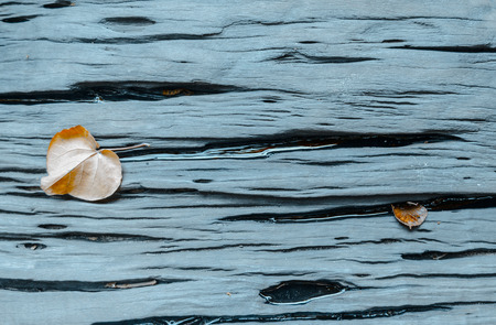 Crack wood  plank with dried leaf after rain background with water drop vintageの写真素材