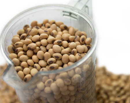 Soy beans on measure out cup closeup focused on soy beansの写真素材