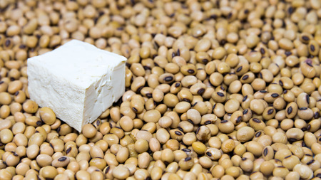 Source of protein :Tofu on soy bean  backgroundの写真素材