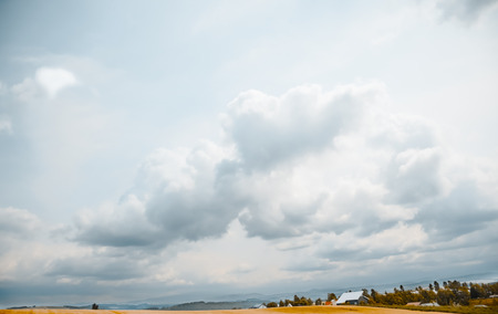 hokkaido country side landscape in cloudy day golden fieldの写真素材