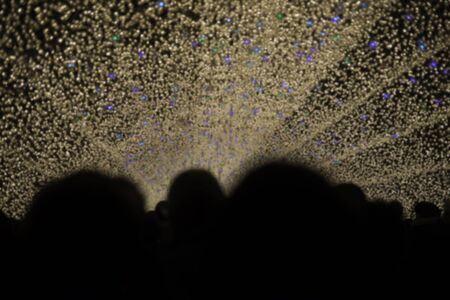 Blur of Christmas and New Year day  with people  silhouette