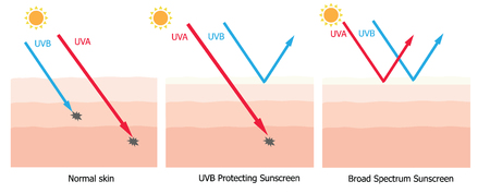 Infographic about sunscreen lotion protect human skin from UVA , UVB ray  sunscreen product