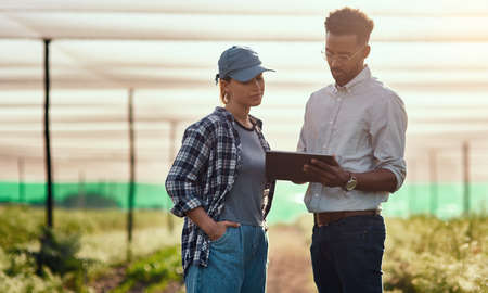 Tracking their growth. Cropped shot of two young farmers looking at a tablet while working on their...