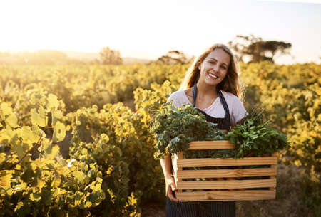 Stock your pantry with fresh produce. Shot of a young woman holding a crate full of freshly picked produce on a farm.の写真素材