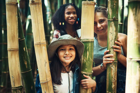 Just call us the jungle warriors. Shot of a group of teenage girls exploring nature together at summer camp.の写真素材