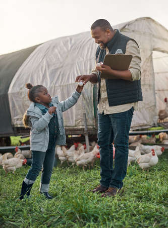 Eggs-actly the kind of childhood every kid deservesの写真素材