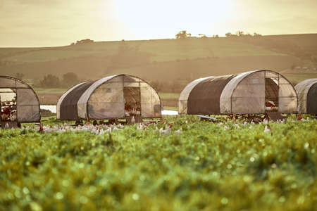 Well be up at the crack of dawnの写真素材