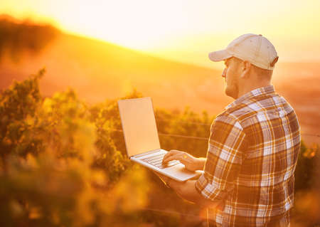 Winemakers love wifi. Rearview shot of a young farmer using a laptop while standing in a vineyard.の写真素材