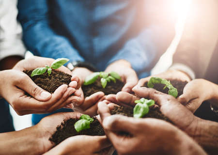 Growing from strength to strength. Closeup shot of an unrecognizable group of businesspeople holding plants growing out of soil.の写真素材