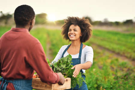 Here you go. Cropped shot of an attractive young female farmer passing a crate of fresh produce to her husband.の写真素材