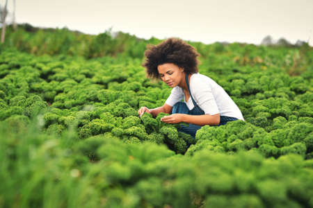 Green fingers. Shot of an attractive young female farmer working the fields.の写真素材