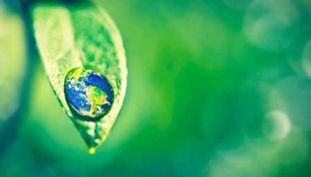 Morning dew. Closeup shot of a water droplet on a leaf.