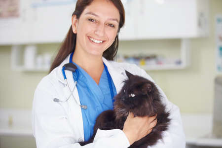 We take the best care of your pets. Portrait of a smiling female vet holding a dark feline.