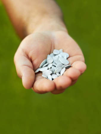 They offer so much. Shot of a hand holding seeds.の写真素材