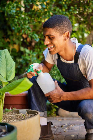 My idea of self-care is spending time with my plants. Cropped shot of a handsome young man crouched...