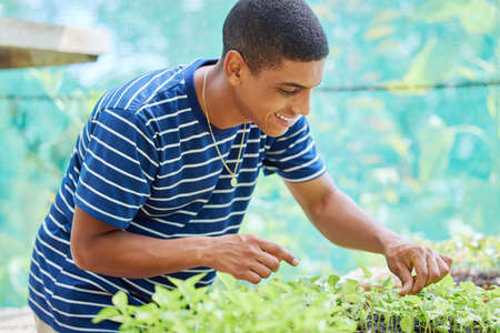 You see plants, I see the future. Shot of a young man pruning his plants in his yard.の写真素材