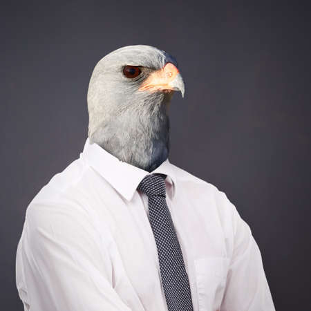Welcome to the corporate jungle. Conceptual image of animal heads on business people.の写真素材