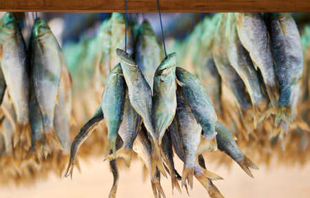 Catch of the day. Closeup shot of dead fish hanging in bunches.