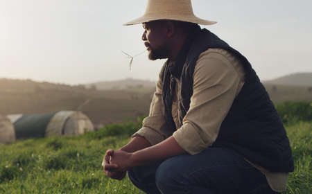 Listen to what the land says. Shot of a mature man working on a farm.の写真素材