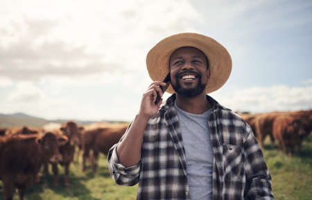 Call him for the best cattle in agribusiness. Shot of a mature man using a smartphone while working...