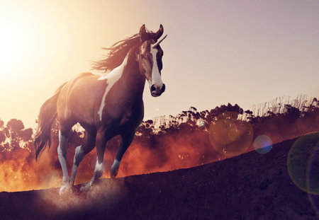 Fantastical unicorn. Shot of a beautiful unicorn running through a fantasy landscape.