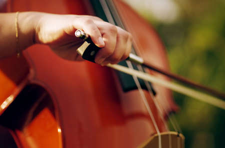 Following the notes precisely. Cropped shot of an unrecognizable woman playing a cello in the backyard.の写真素材