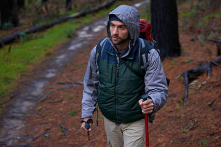 Using nature to keep fit. Shot of a handsome man hiking in a pine forest using nordic walking poles.の写真素材