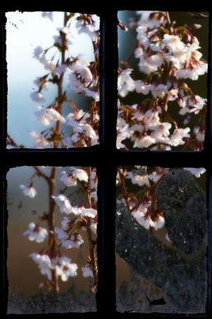 Buildings come in all shapes and sizes. Cropped shot of a building exterior.の写真素材