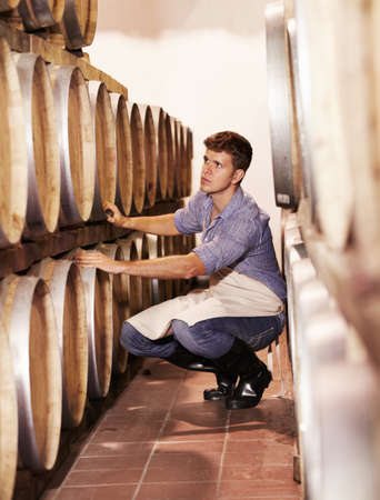 Now all we have to do is wait. A young wine maker counting his wine barrels in the cellar.の写真素材