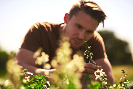 We all start out small in life. Cropped shot of a young farmer looking at the crops on his farm.