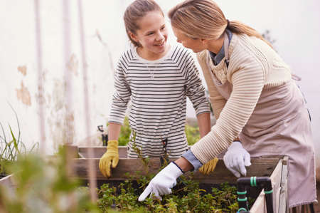 What shall we pick today. Shot of a mother and daughter gardening together in their backyard.の写真素材