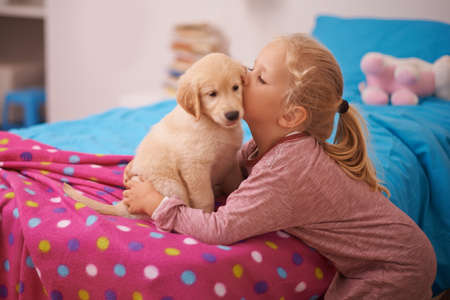 Kisses for her new friend. A cropped shot of a little girl kissing her puppy while it sits on her bed.の写真素材